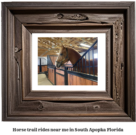 horse trail rides near me in South Apopka, Florida